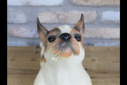 Stretching Dog