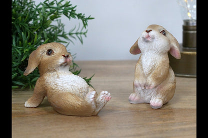 Mini Rabbits
