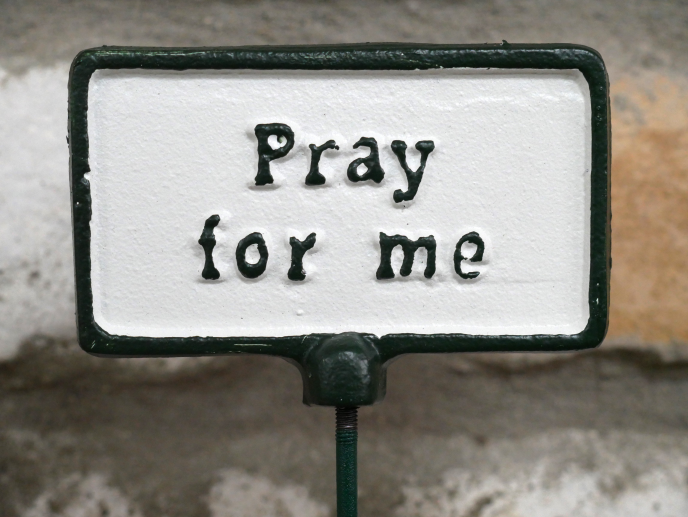 Plant Sign - Pray For Me