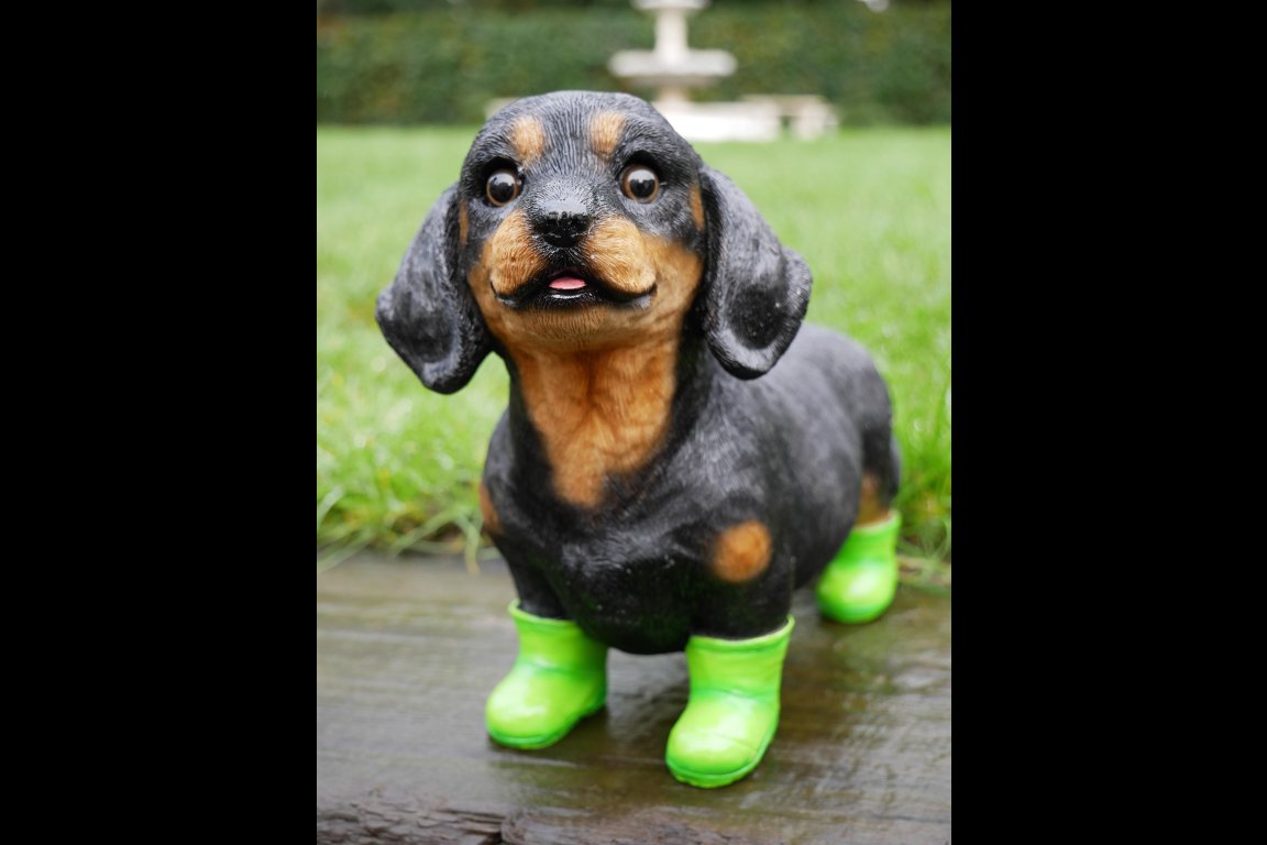 Dog In Boots