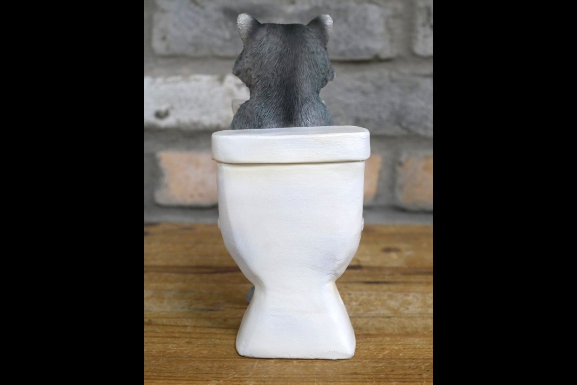 Racoon On The Loo