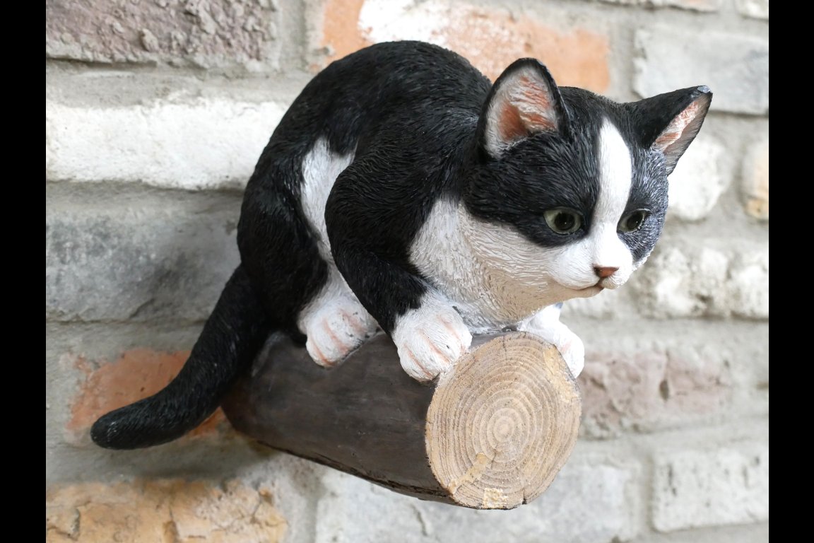Cat On A Branch