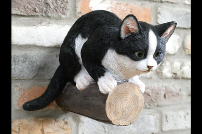 Cat On A Branch