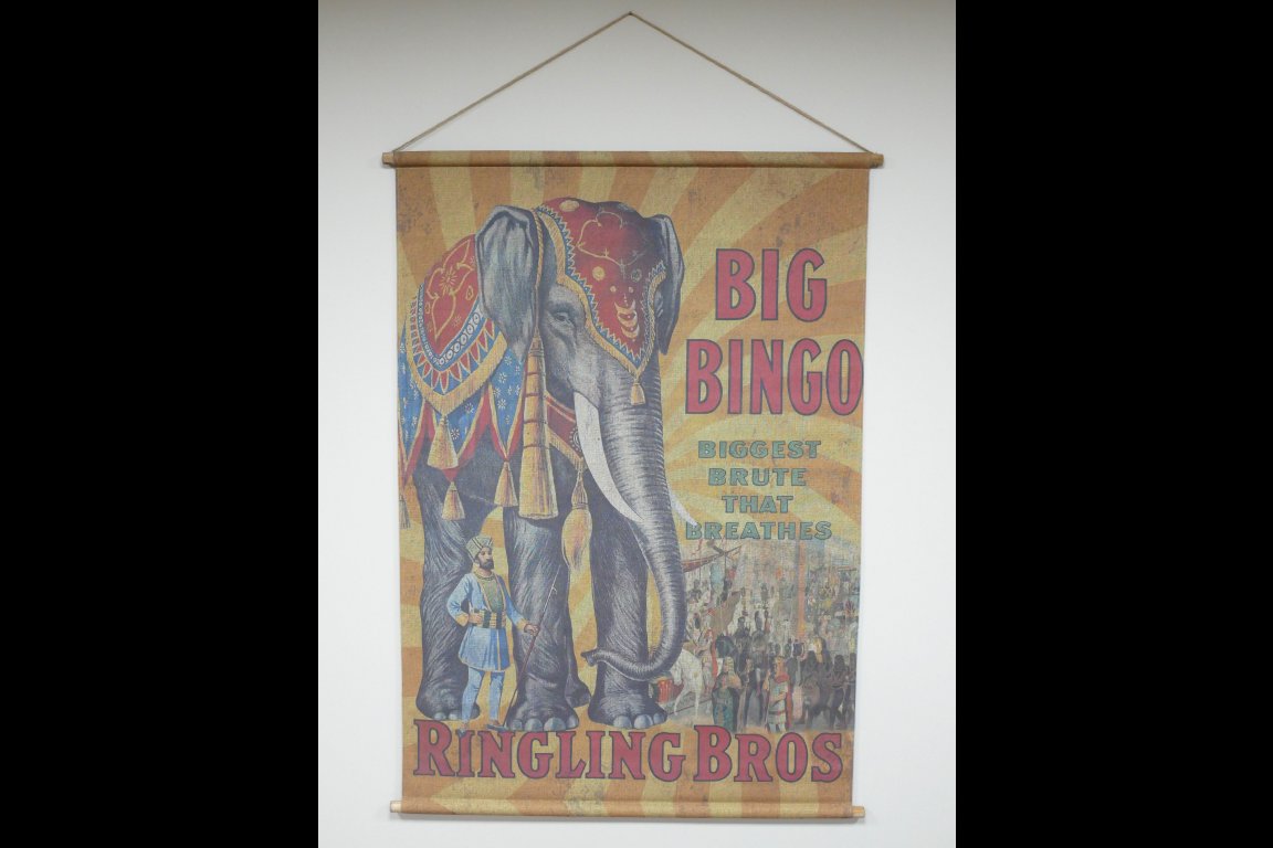 Canvas Wall Art - Elephant