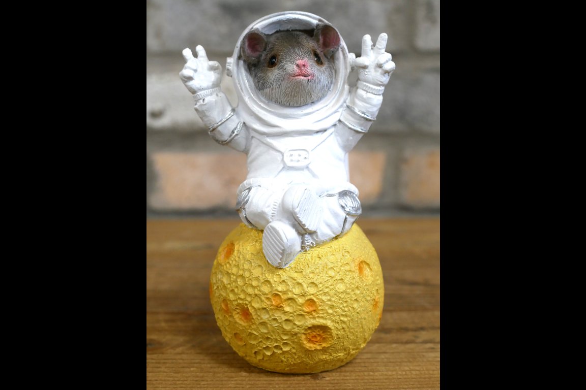 Mouse On Cheese Moon