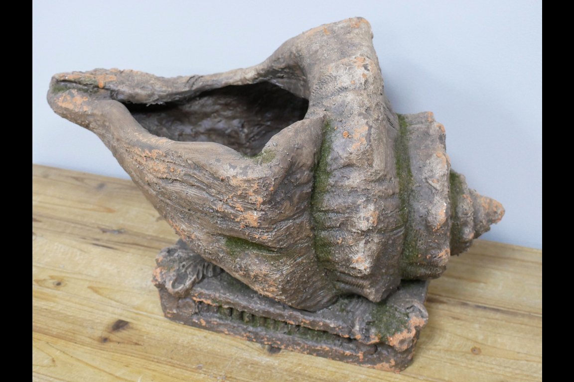 Shell Planter