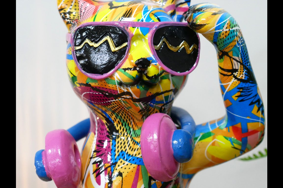 Cat With Headphones