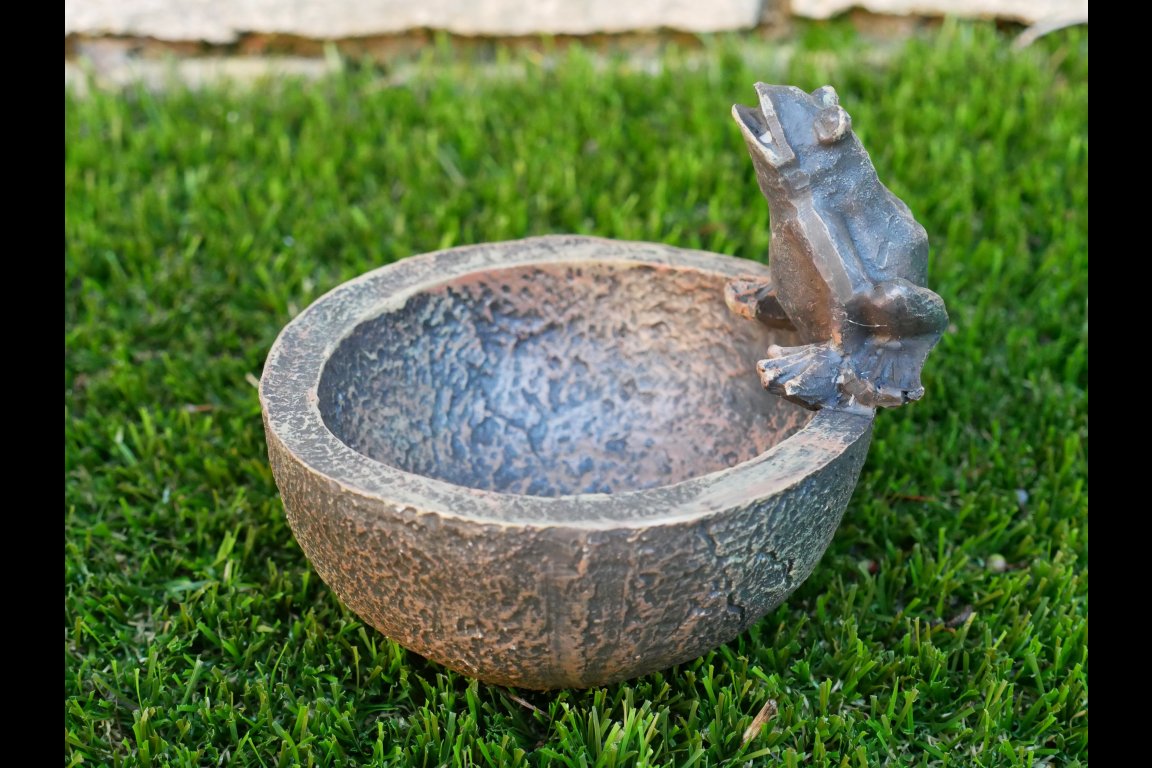 Frog Bowl