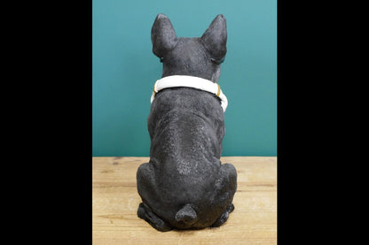 Dog With Headphones