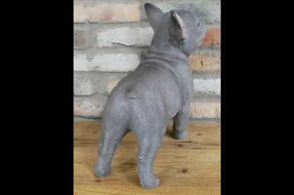 Standing Dog (Frenchie)