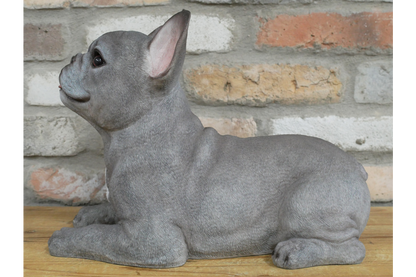 Laying Dog (Frenchie)
