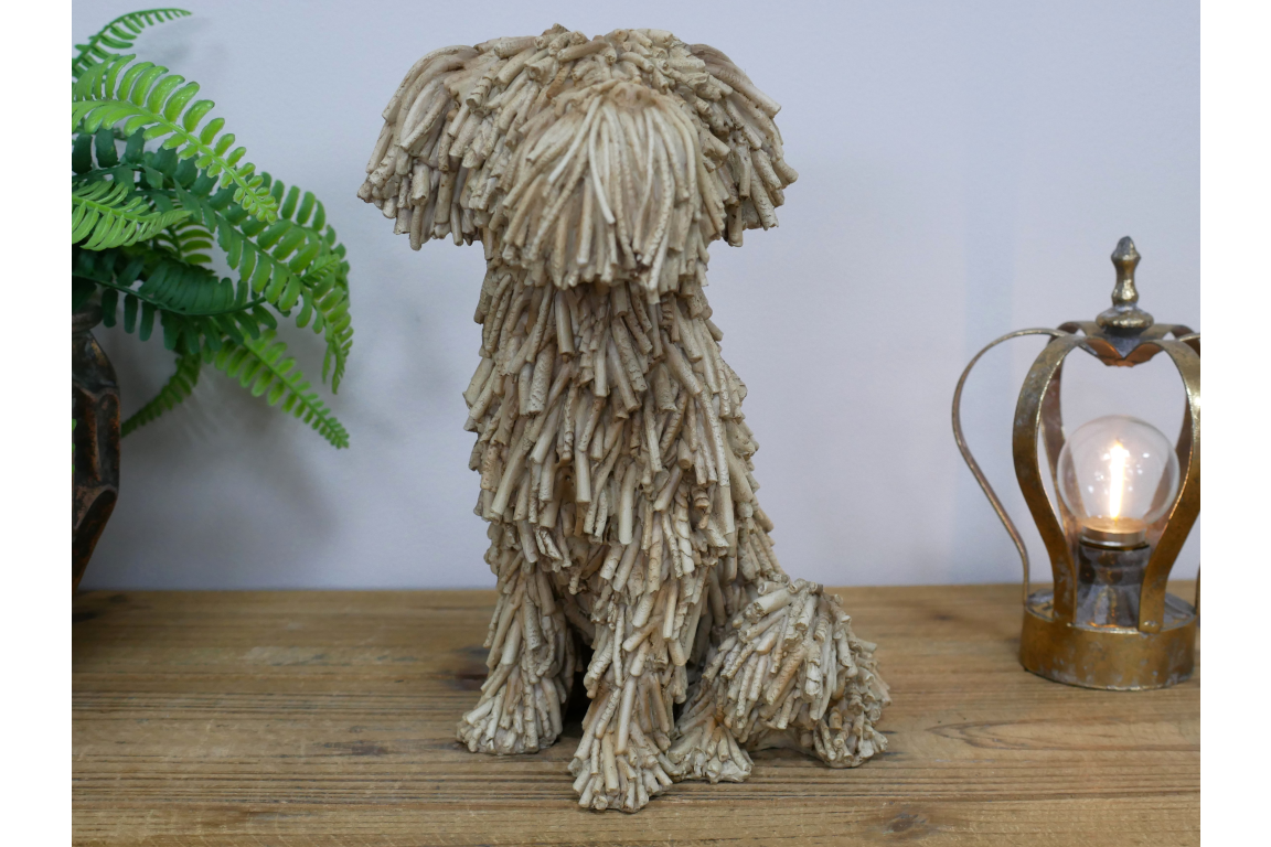 Sitting Shaggy Dog