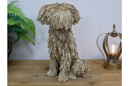 Sitting Shaggy Dog