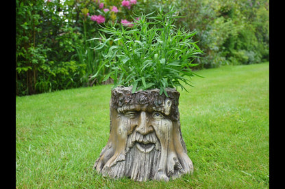 Tree Stump Planter