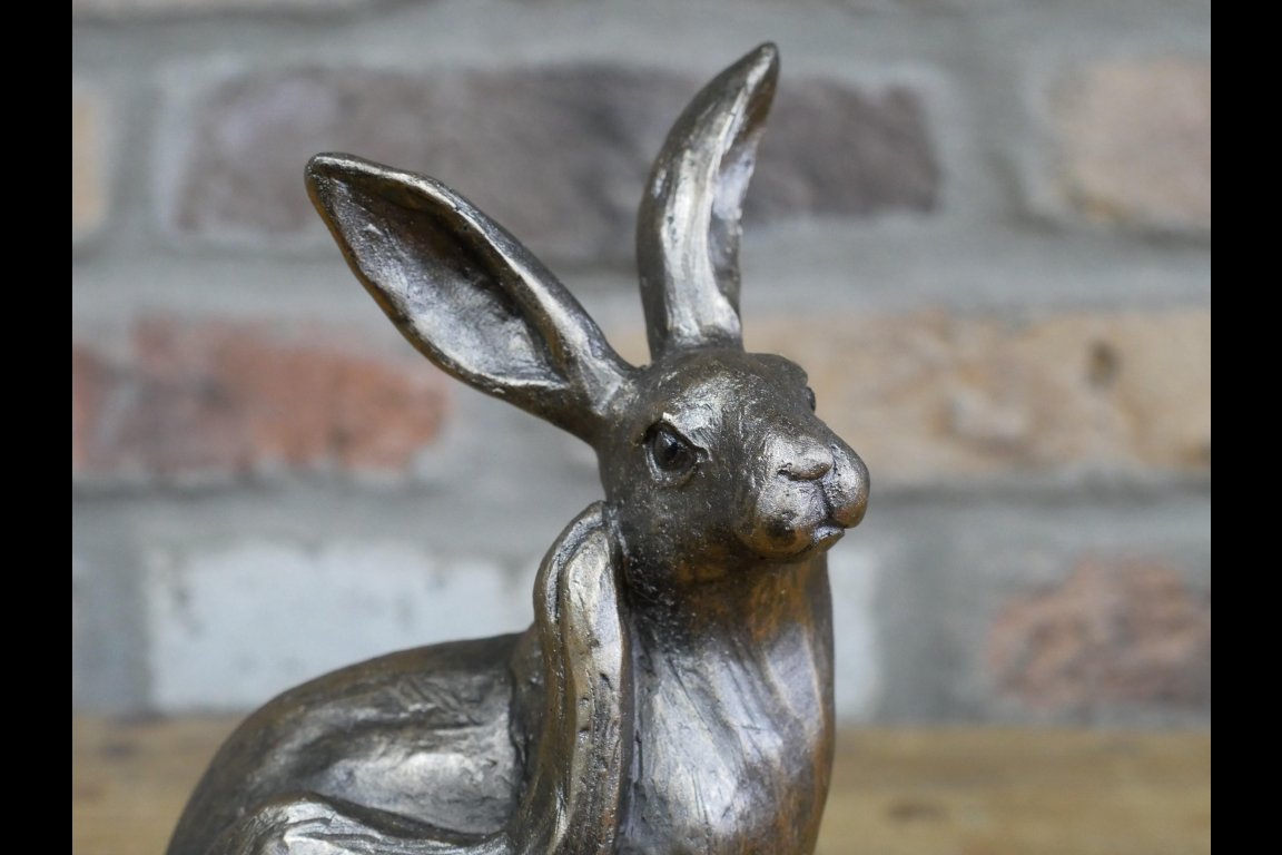 Hare
