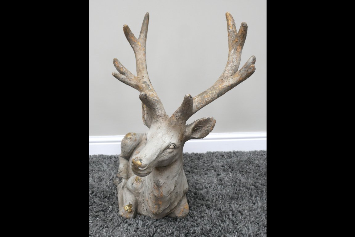 Laying Stag