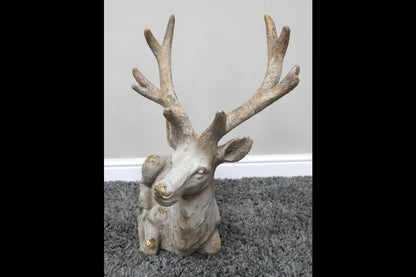 Laying Stag