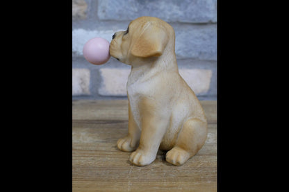Bubblegum Dog