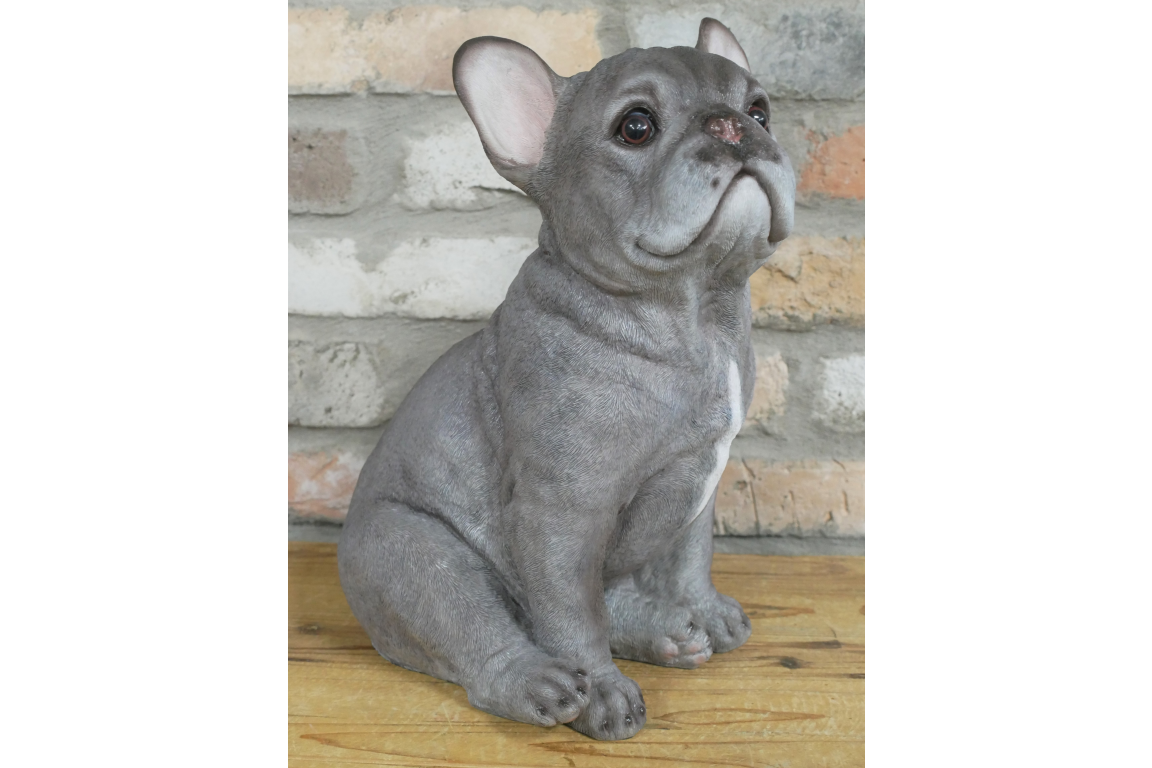 Sitting Dog (Frenchie)