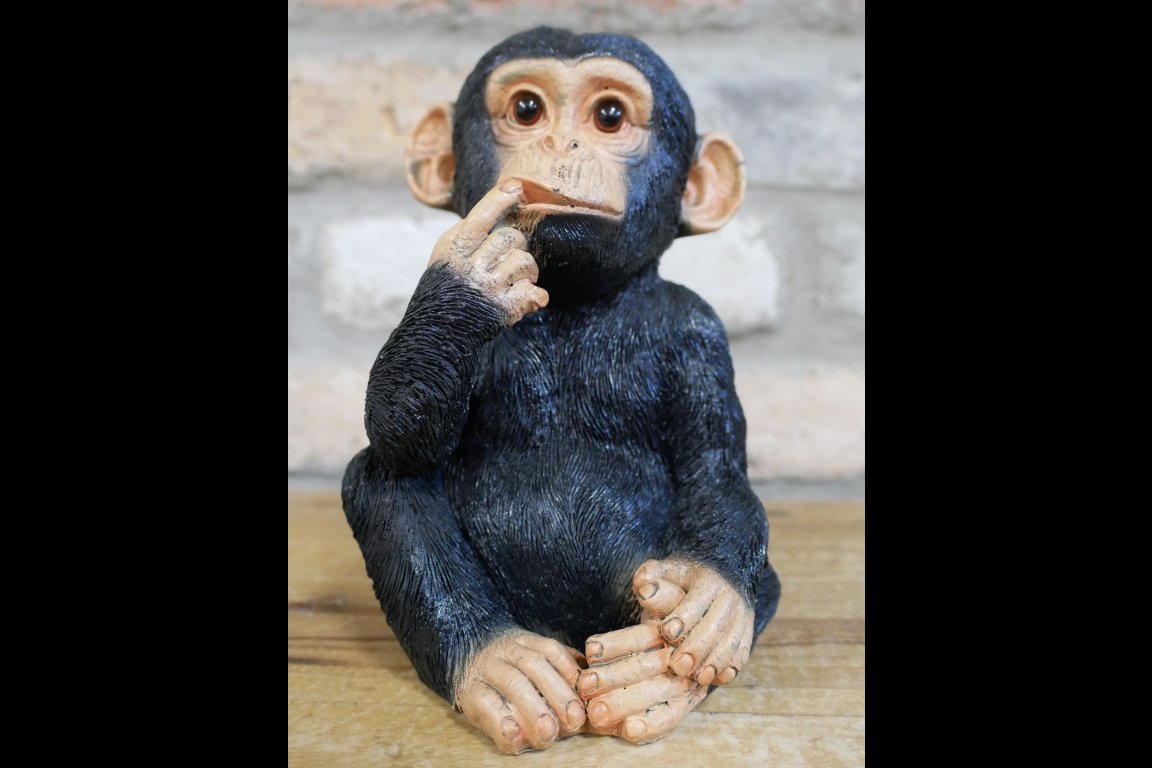 Finger In Mouth Monkey - Small