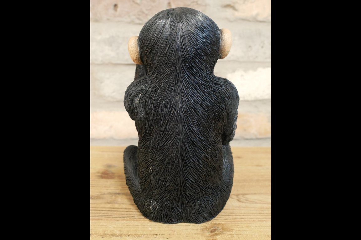 Up Yours Monkey McGuinness