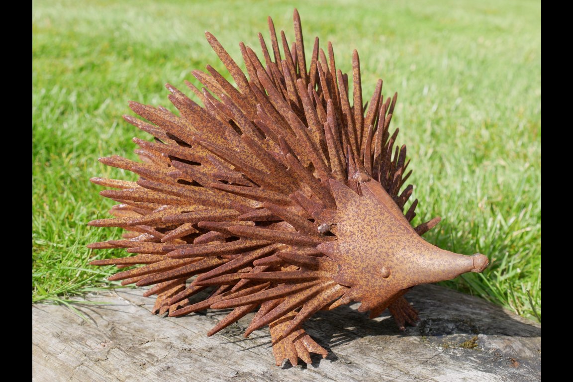 Rusty Hedgehog