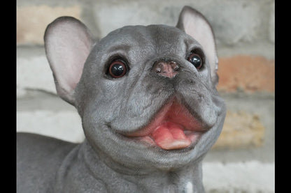 Standing Dog (Frenchie)