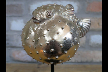 Puffer Fish