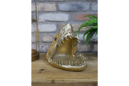 Shark Dish
