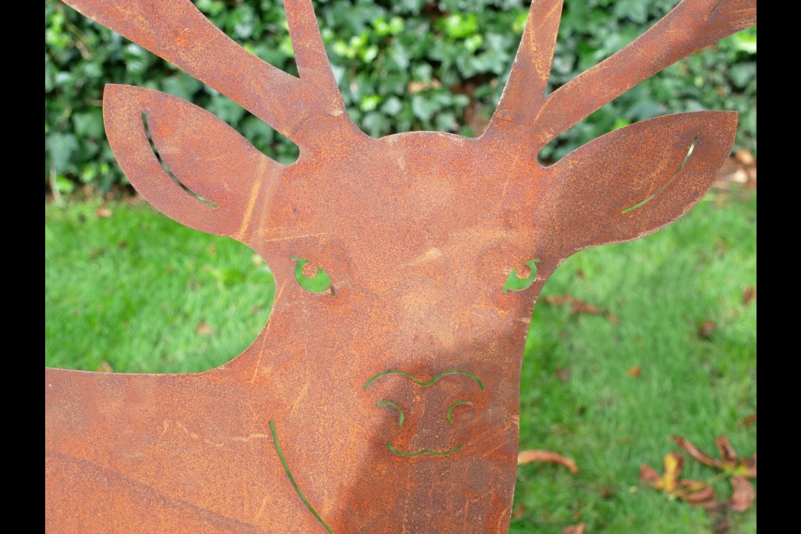 Rusty Stag