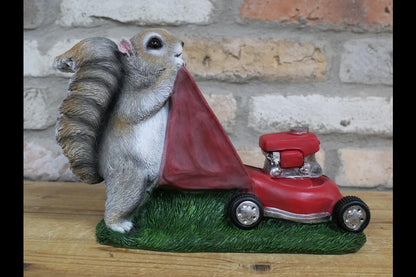 Squirrel Grasscutter