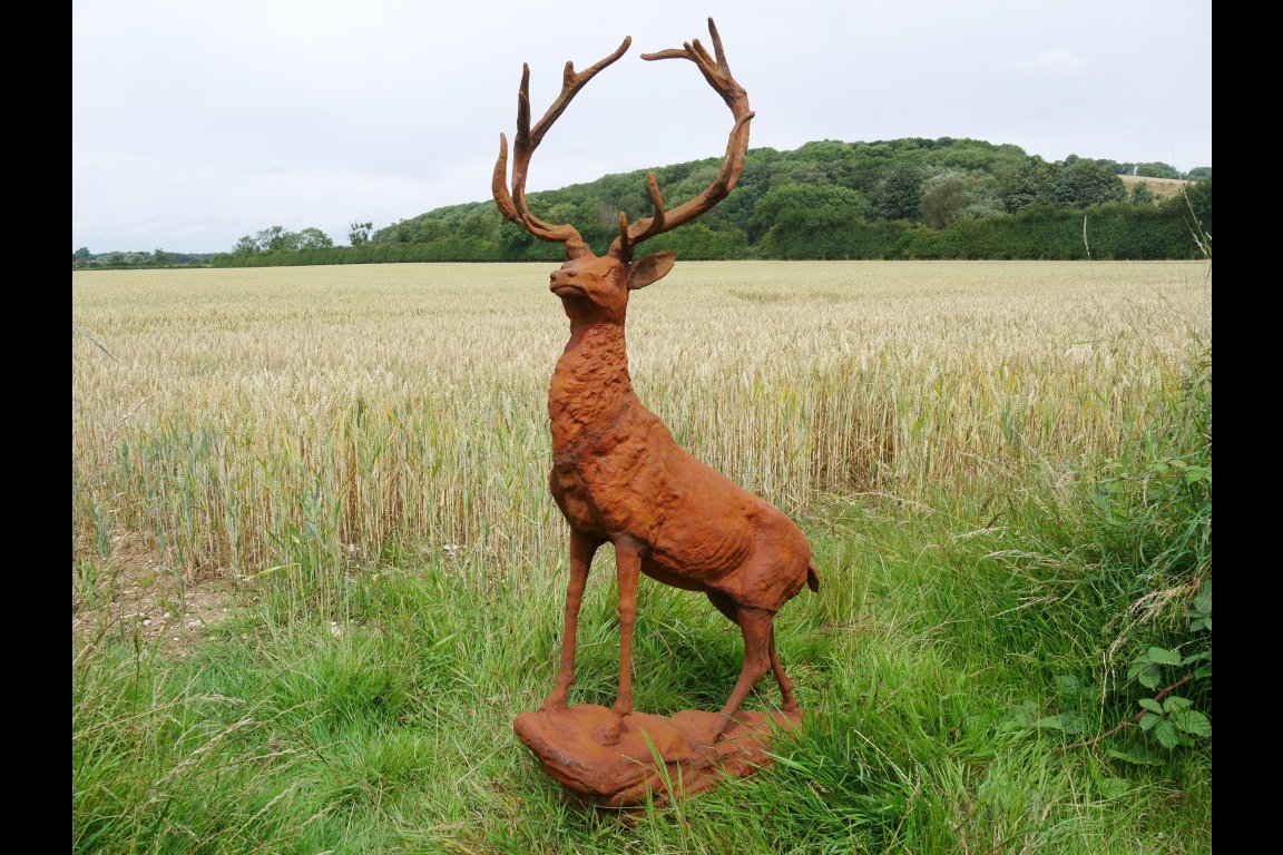 Rusty Stag