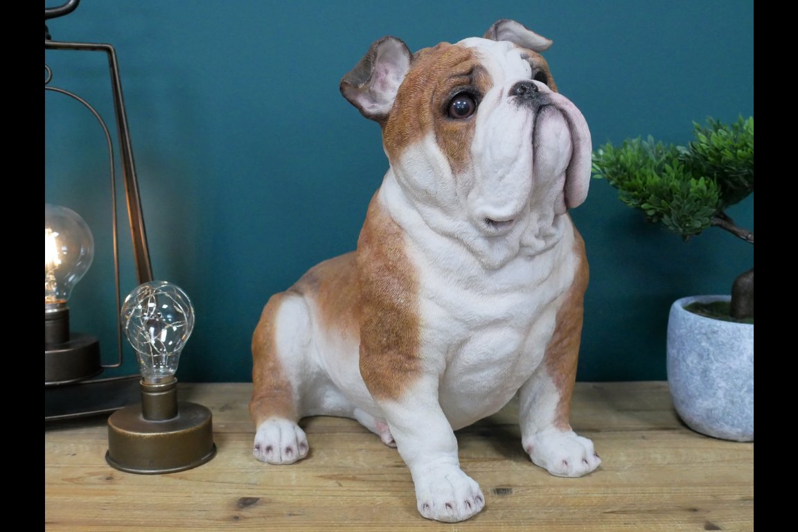 Sitting Bulldog