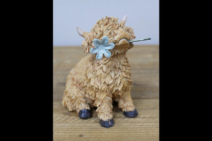 Highland Cow With Flower In Mouth