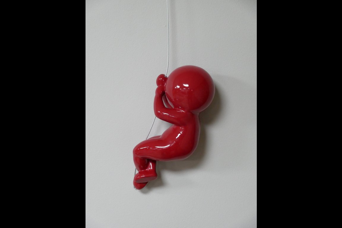 Abseiling Ball Head