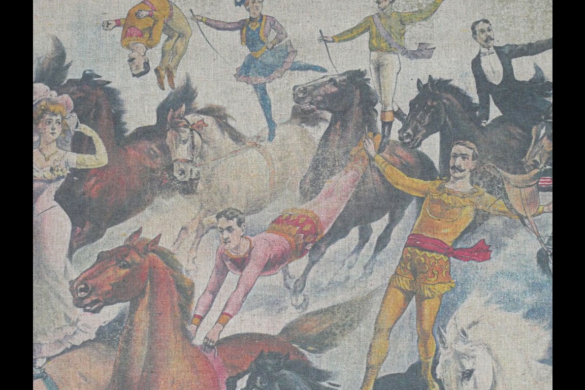 Wall Art - Horses