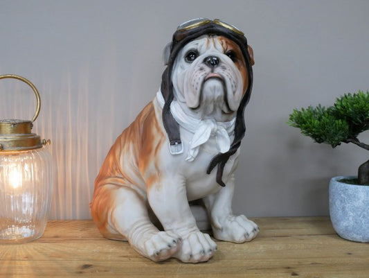 Large Pilot Dog