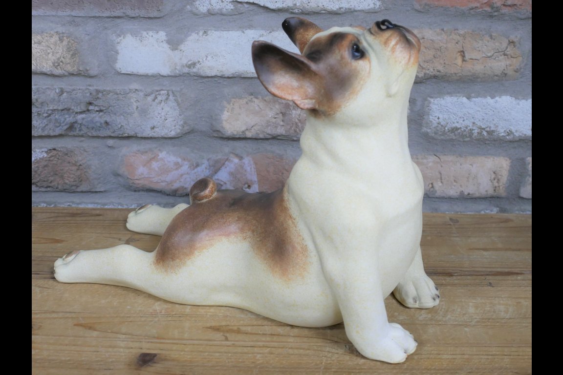 Stretching Dog