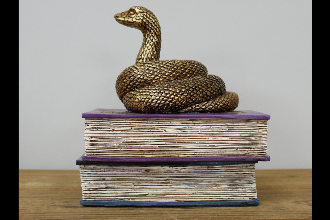 Snake On Spell Books