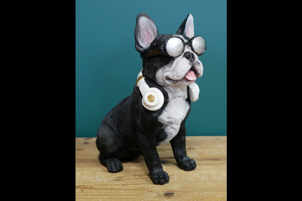Dog With Headphones