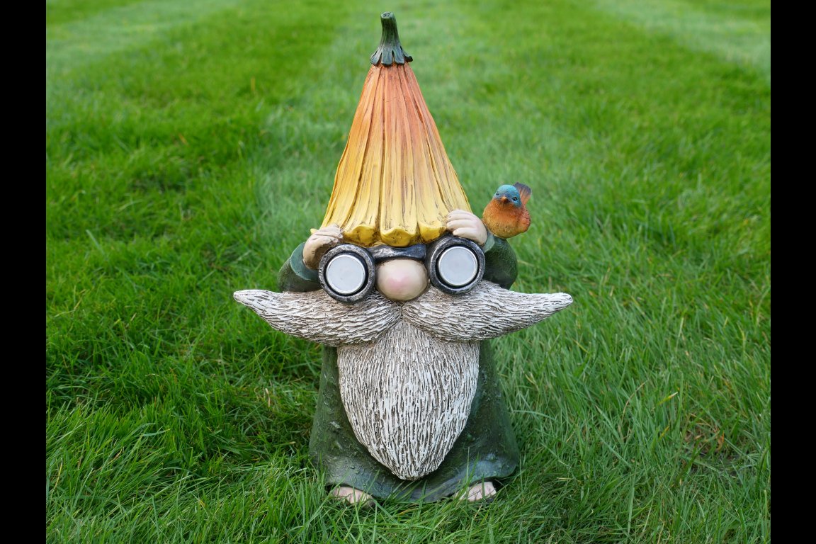 Gnome With Solar Lights
