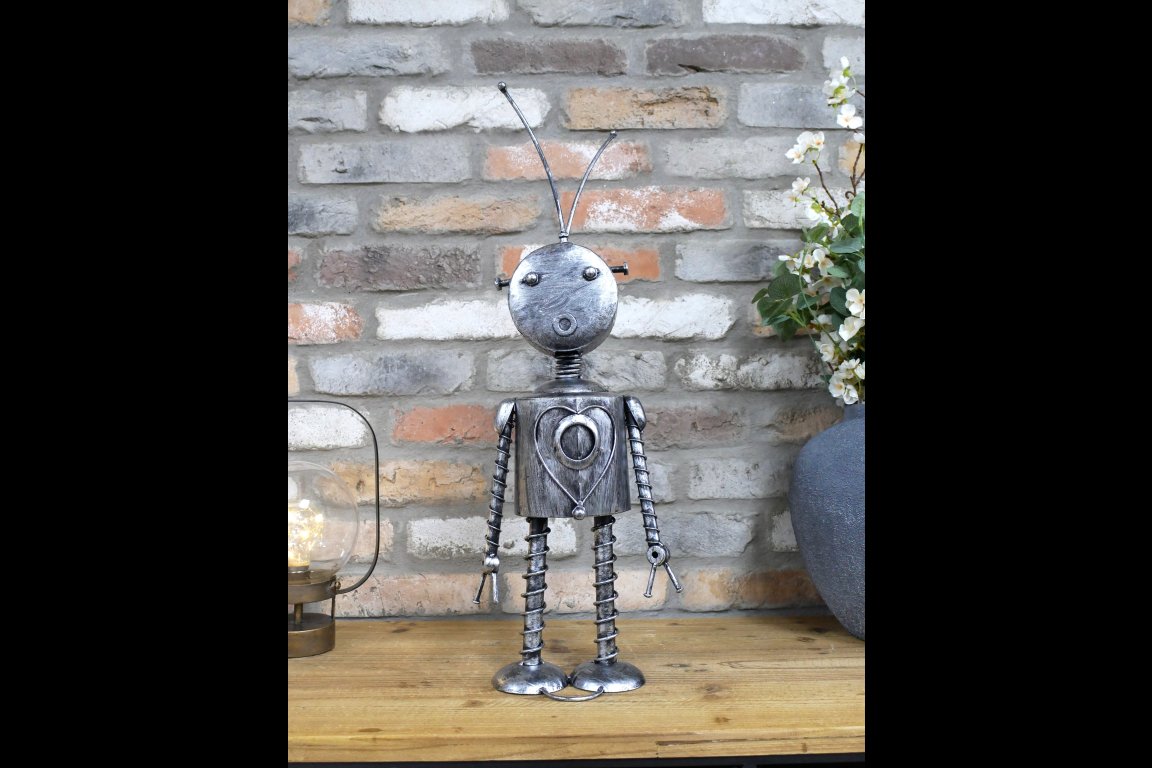 Robot