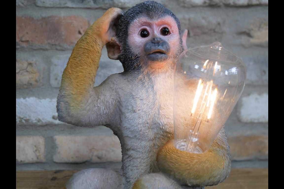 Monkey Light