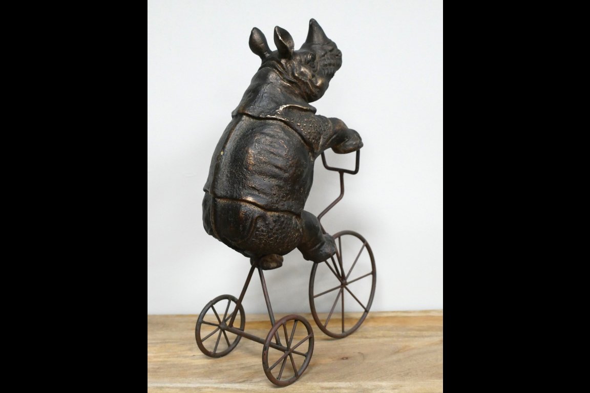 Rhino On Tricycle