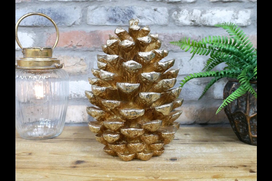 Giant Pinecone