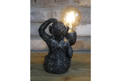 Monkey Light