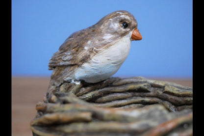 Bird Nest Bowl