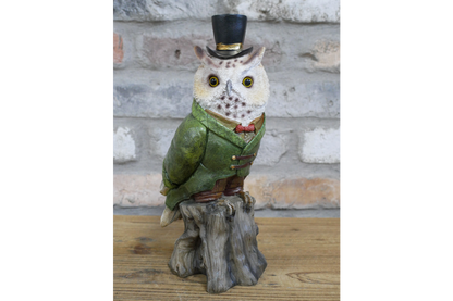 Owl In Suit