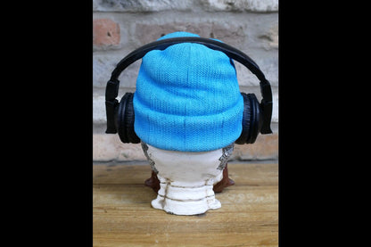 Skull With Headphones