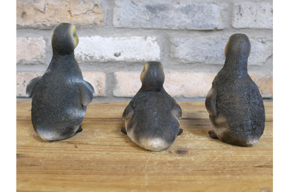 Set Of 3 Ducks